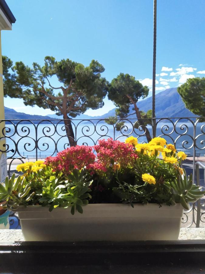 Casa D'Epoca Fronte Lago A Domaso Lago Di Como 외부 사진